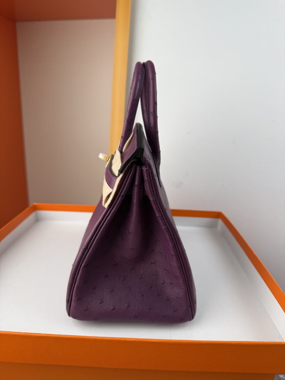 Anum Bags Hermesn Luxury Bag --116761