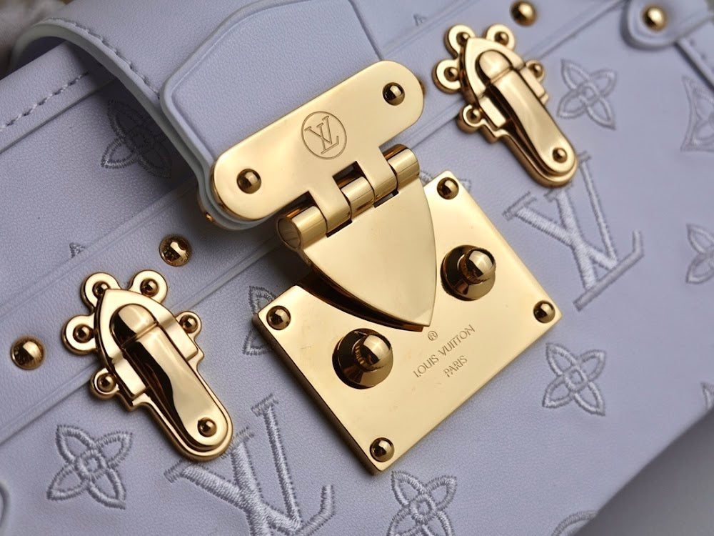 Anum Bags ln Luxury Bag --61061