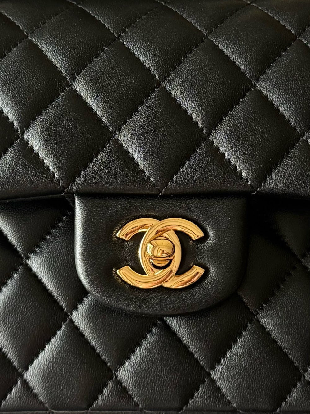 Anum Bags CHn Luxury Bag --112982