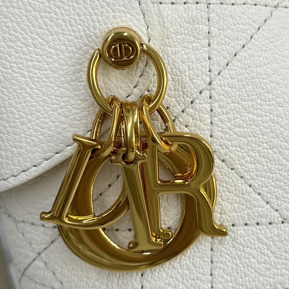 Ezyycart Bags Diorn Luxury Bag --115653
