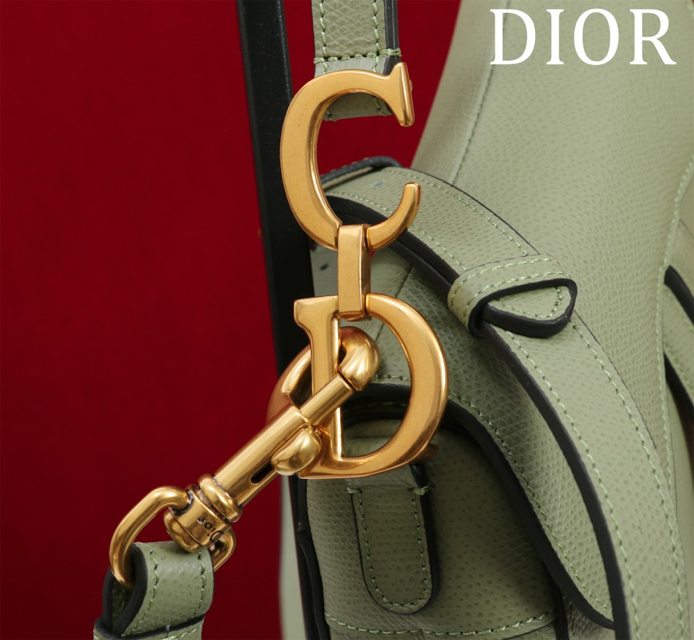 Ezyycart Bags Diorn Luxury Bag --116508
