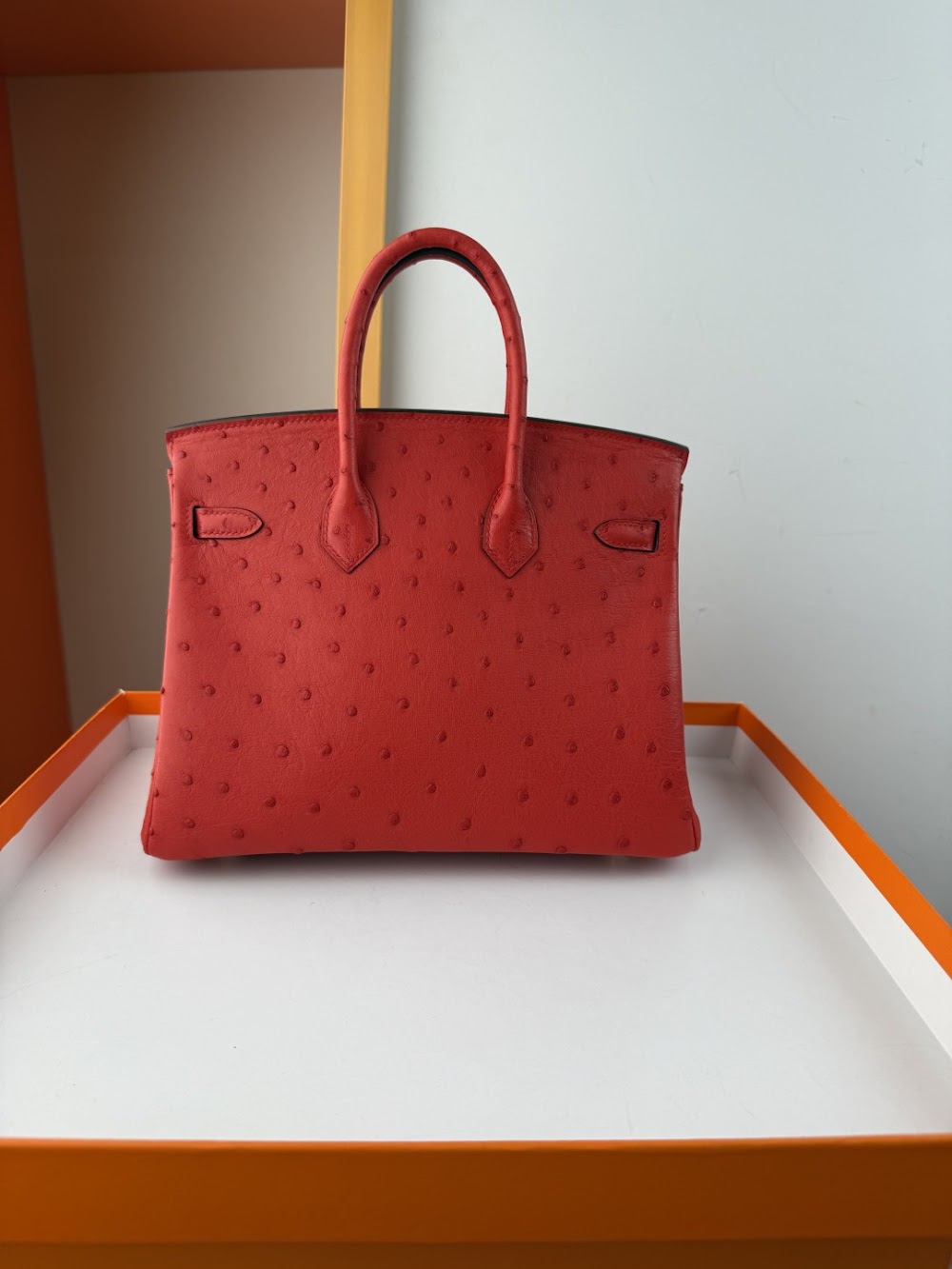 Anum Bags Hermesn Luxury Bag --116768