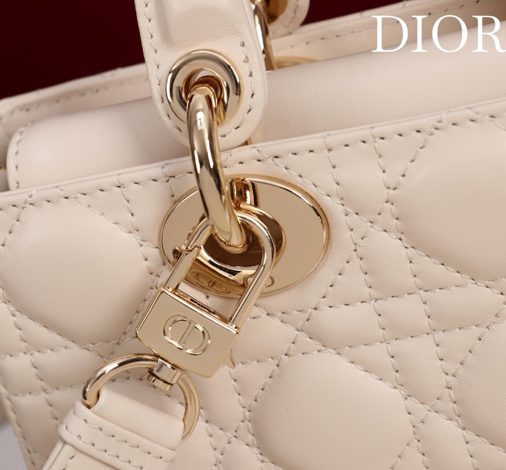 Ezyycart Bags Diorn Luxury Bag --115620