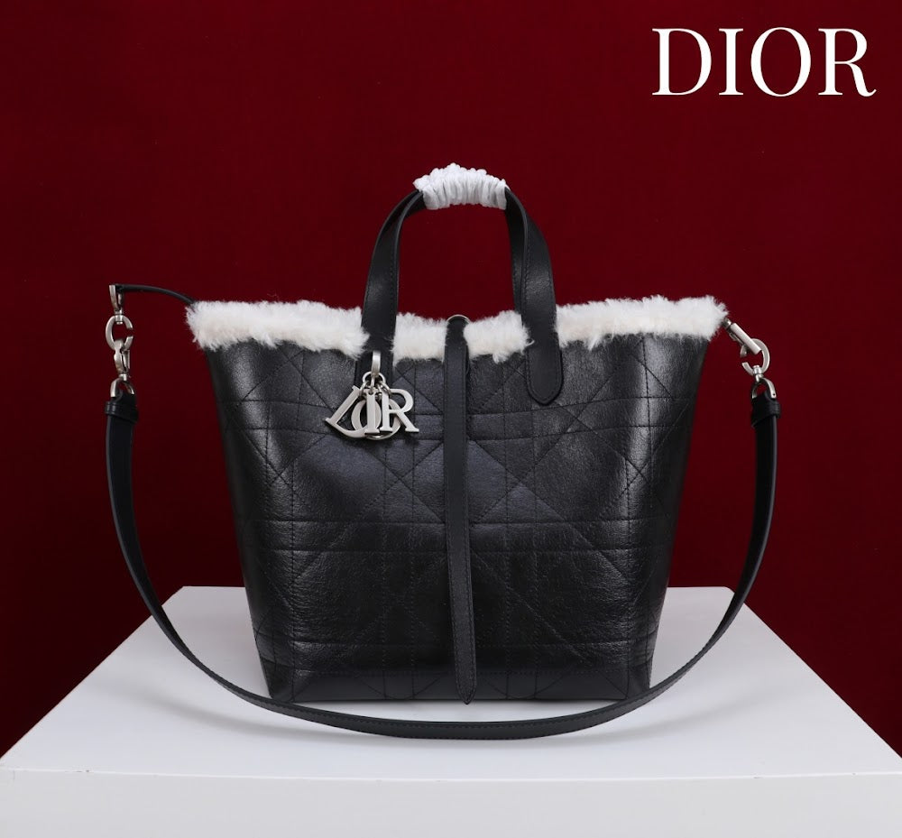 Anum Bags Diorn Luxury Bag --114887