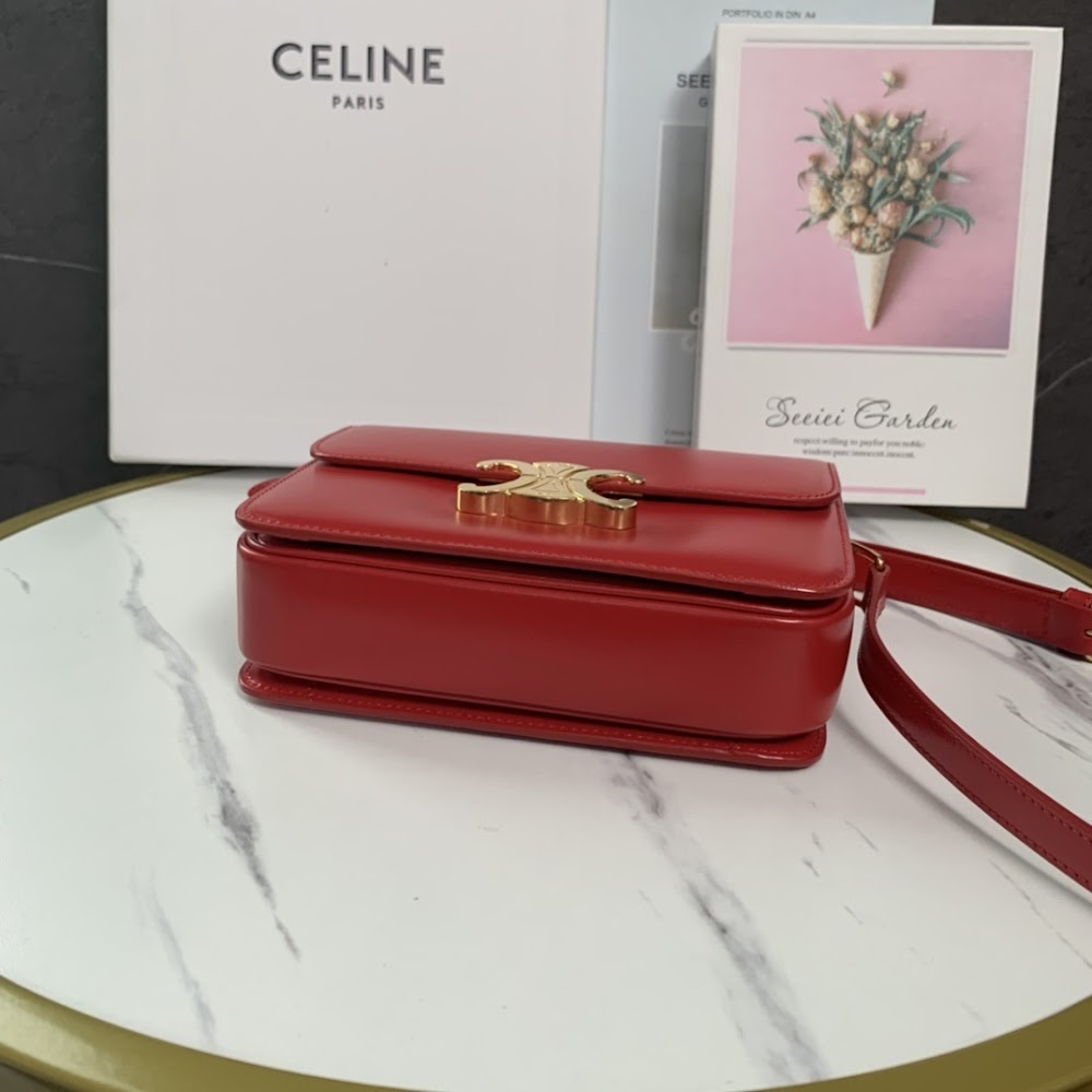 Ezyycart Bags Celine Luxury Bag --111991