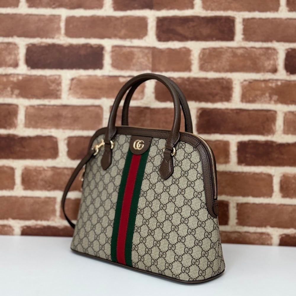 Ezyycart Bags Guccin Luxury Bag --94741