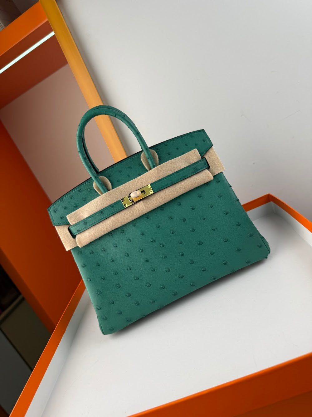 Anum Bags Hermesn Luxury Bag --116757