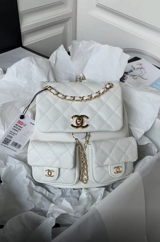 new-designer-premium-bags-nm20111