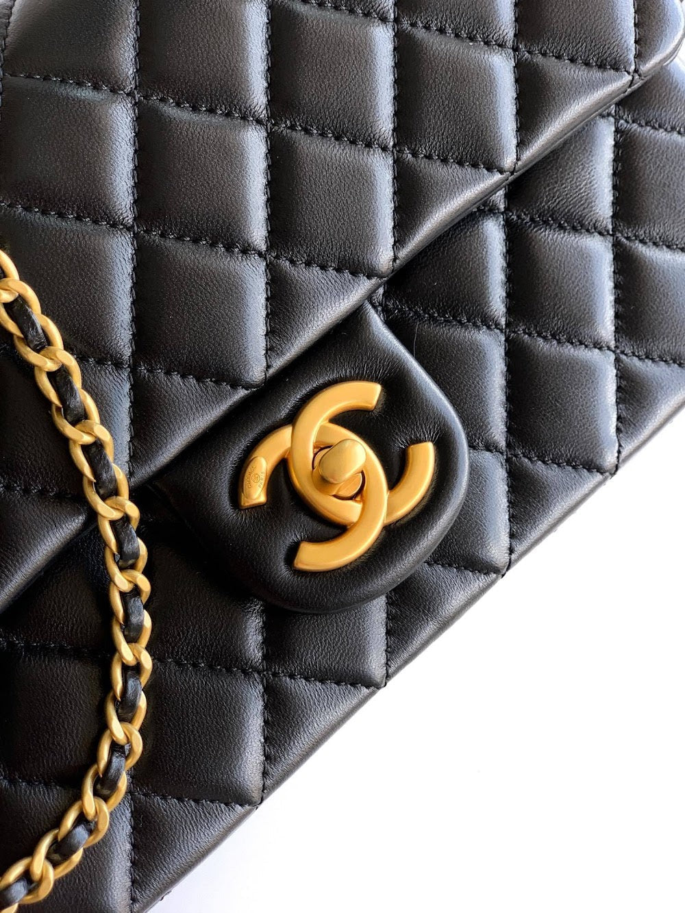Anum Bags CHn Luxury Bag --113569