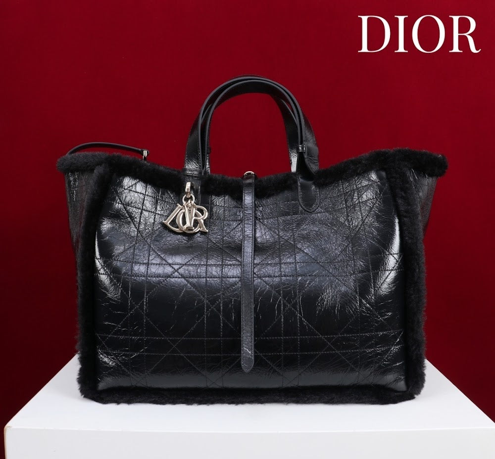 Ezyycart Bags Diorn Luxury Bag --116118