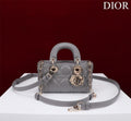 Ezyycart Bags Diorn Luxury Bag --116465