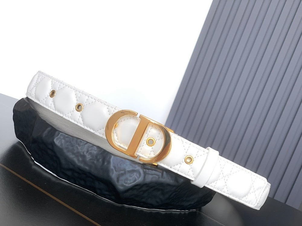 Ezyycart Bags Diorn Luxury Belt --107845