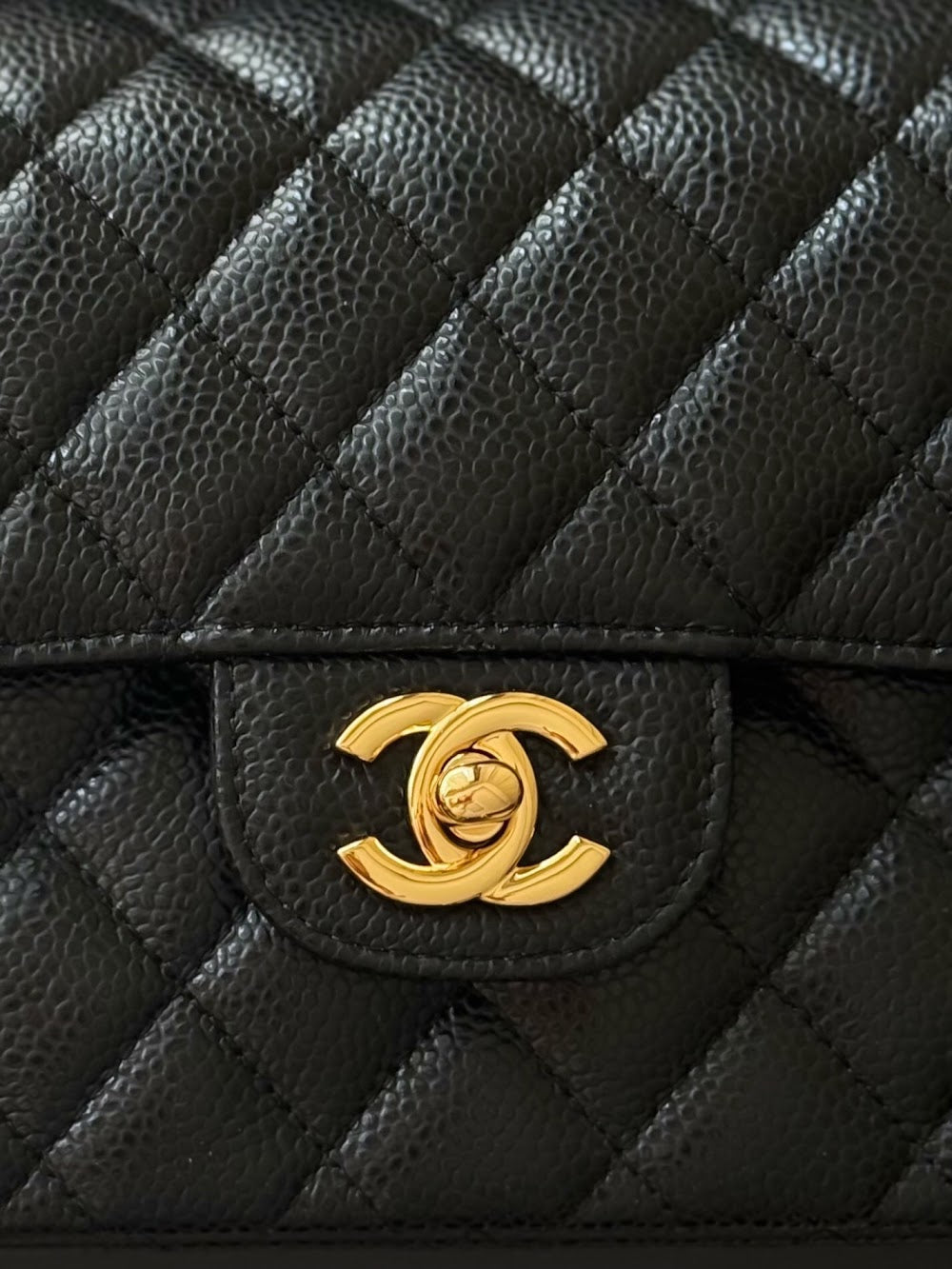 Anum Bags CHn Luxury Bag --113969