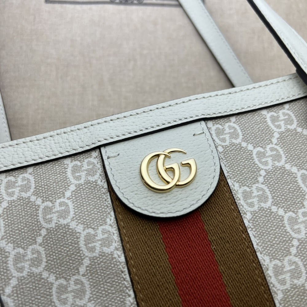 Ezyycart Bags Guccin Luxury Bag --95504