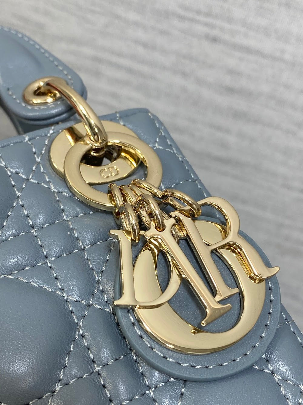 Anum Bags Diorn Luxury Bag --114985