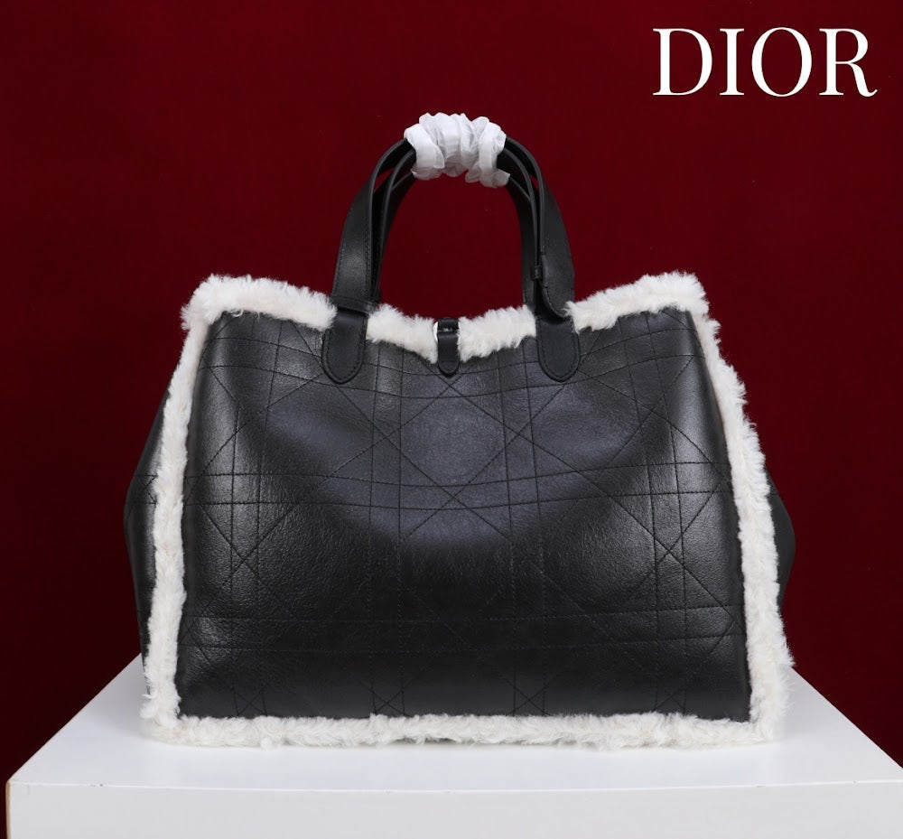 Anum Bags Diorn Luxury Bag --114890
