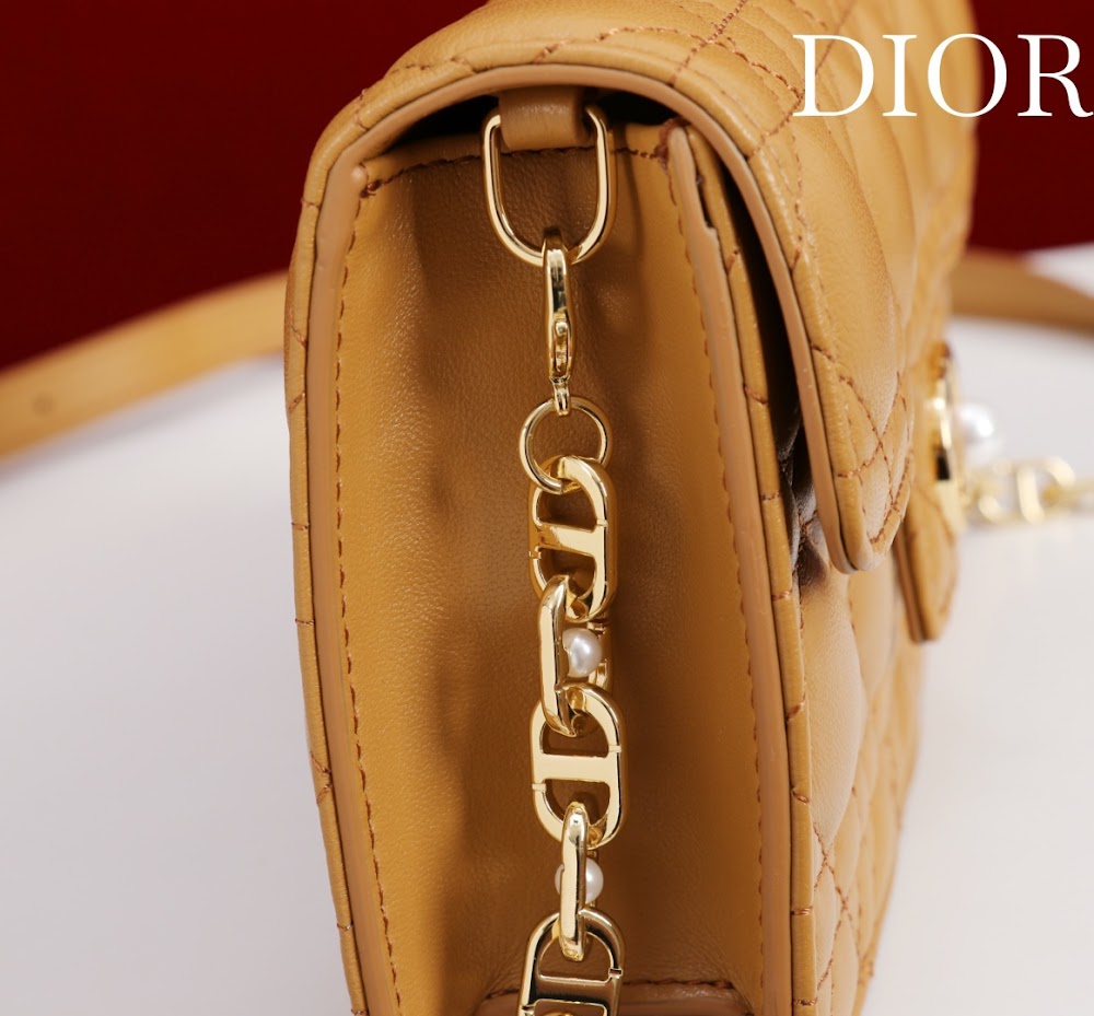 Ezyycart Bags Diorn Luxury Bag --116374