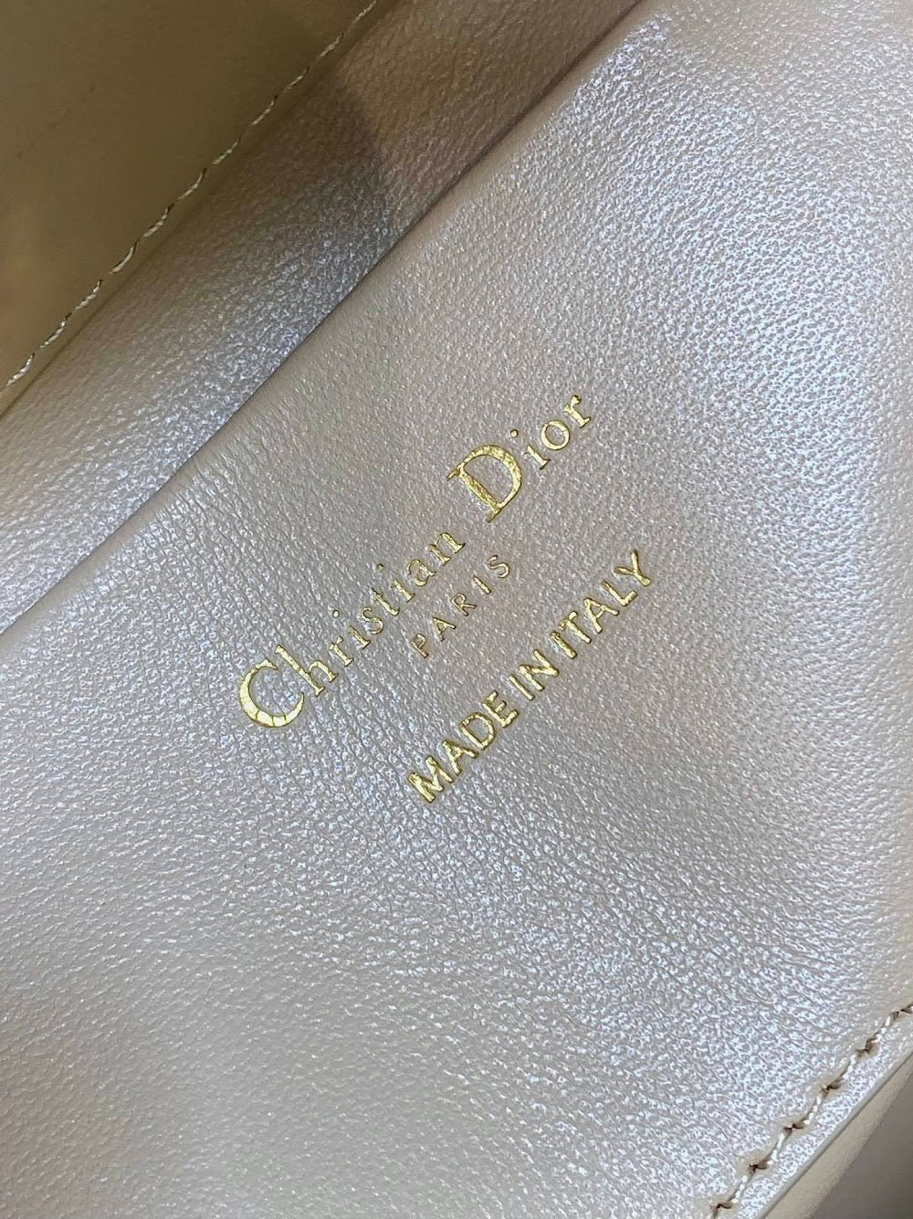 Ezyycart Bags Diorn Luxury Bag --115663