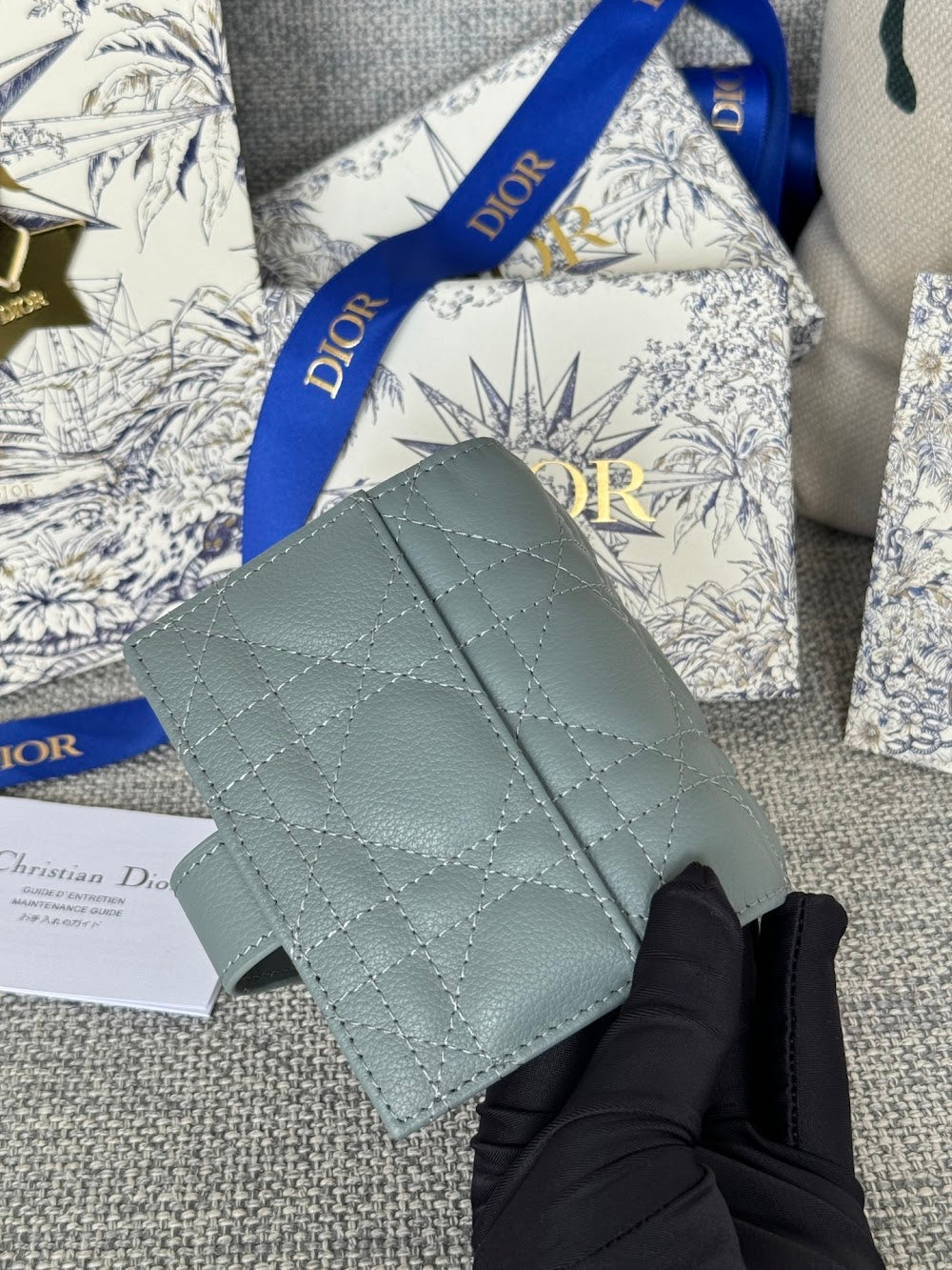 Anum Bags Diorn Luxury Bag --114580