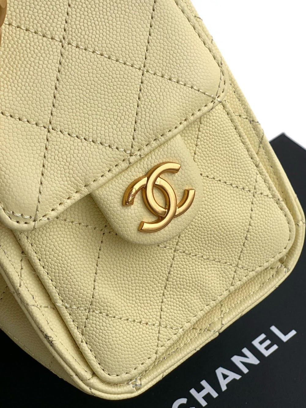 Anum Bags CHn Luxury Bag --112895