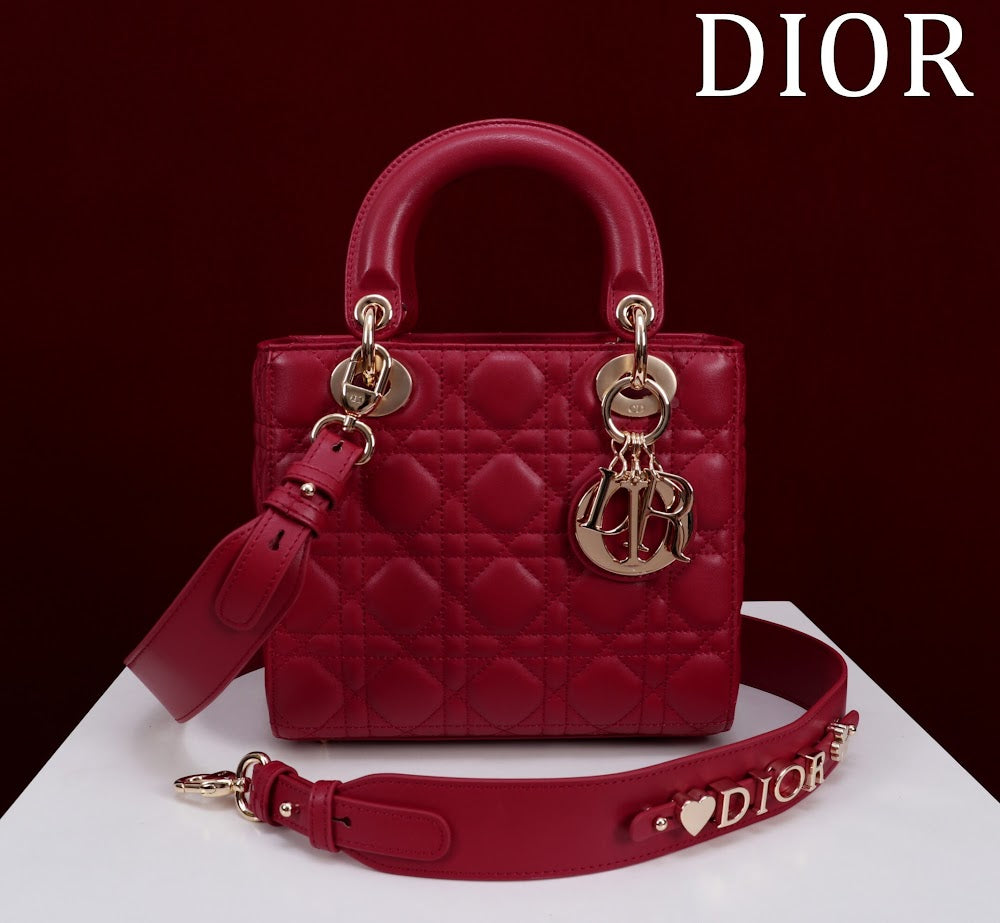Ezyycart Bags Diorn Luxury Bag --115920