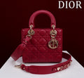 Ezyycart Bags Diorn Luxury Bag --115920