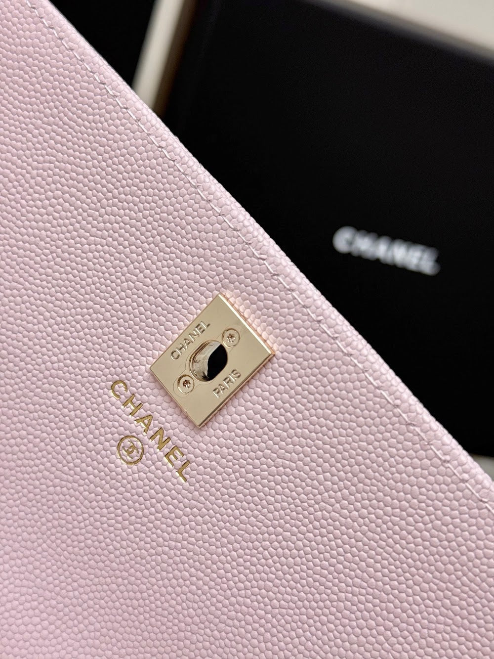 Anum Bags CHn Luxury Bag --113852
