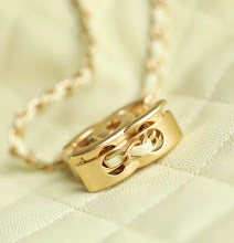 new-designer-premium-bags-nm6213