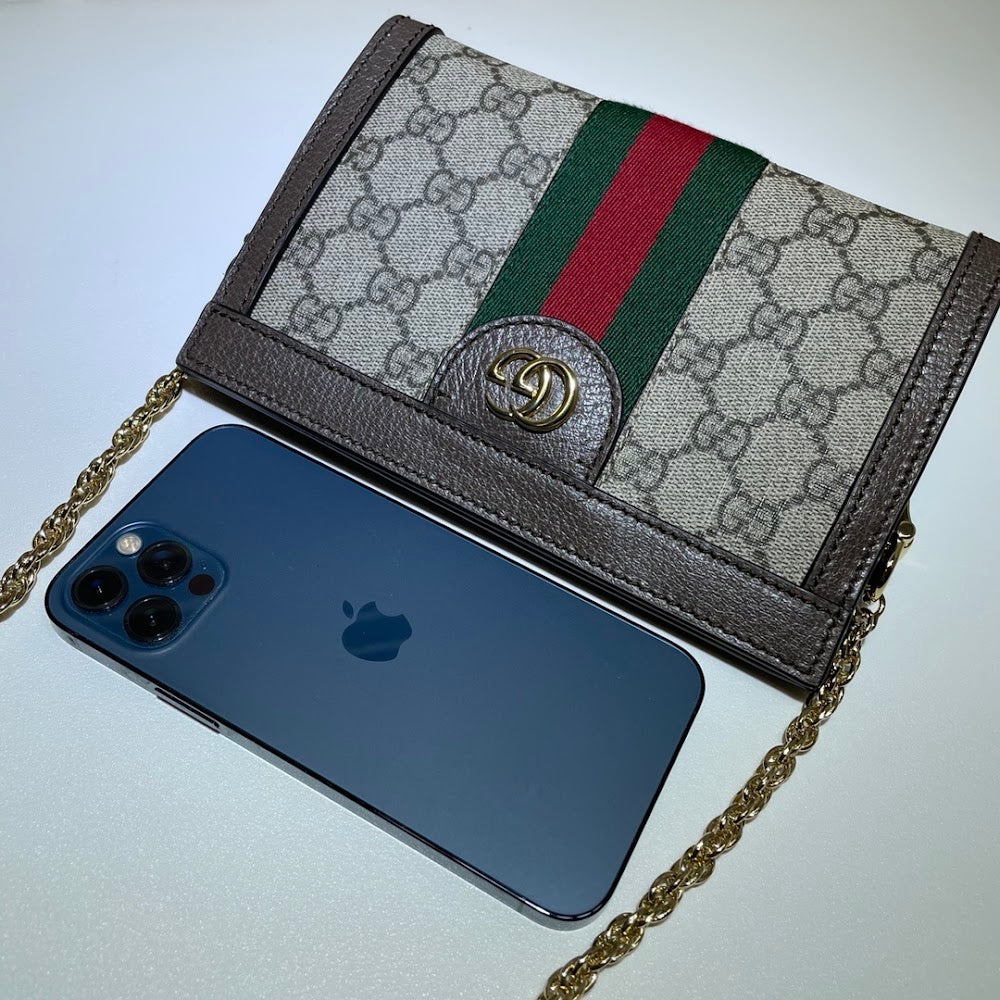 Ezyycart Bags Guccin Luxury Bag --95413