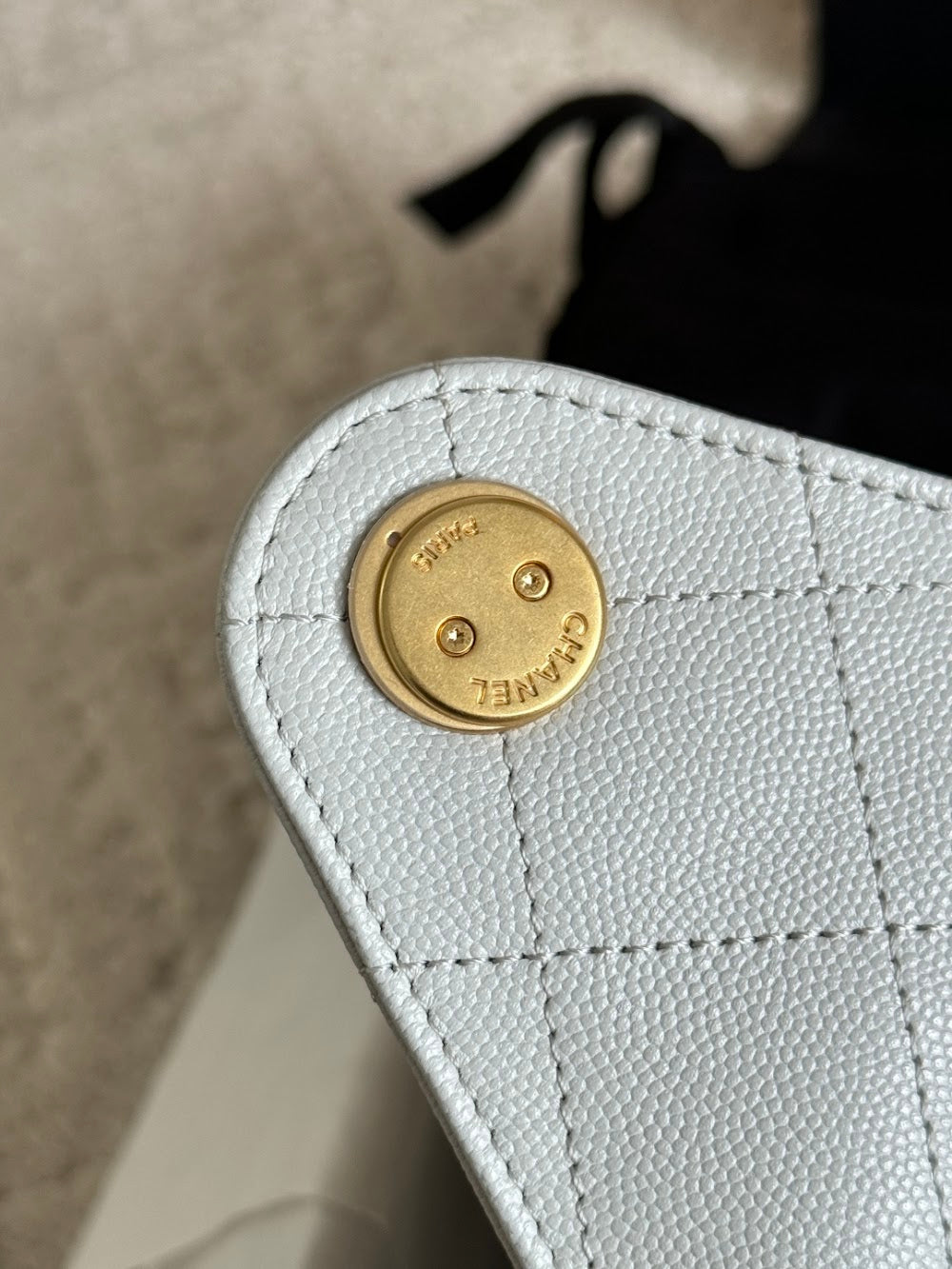 Anum Bags CHn Luxury Bag --113587