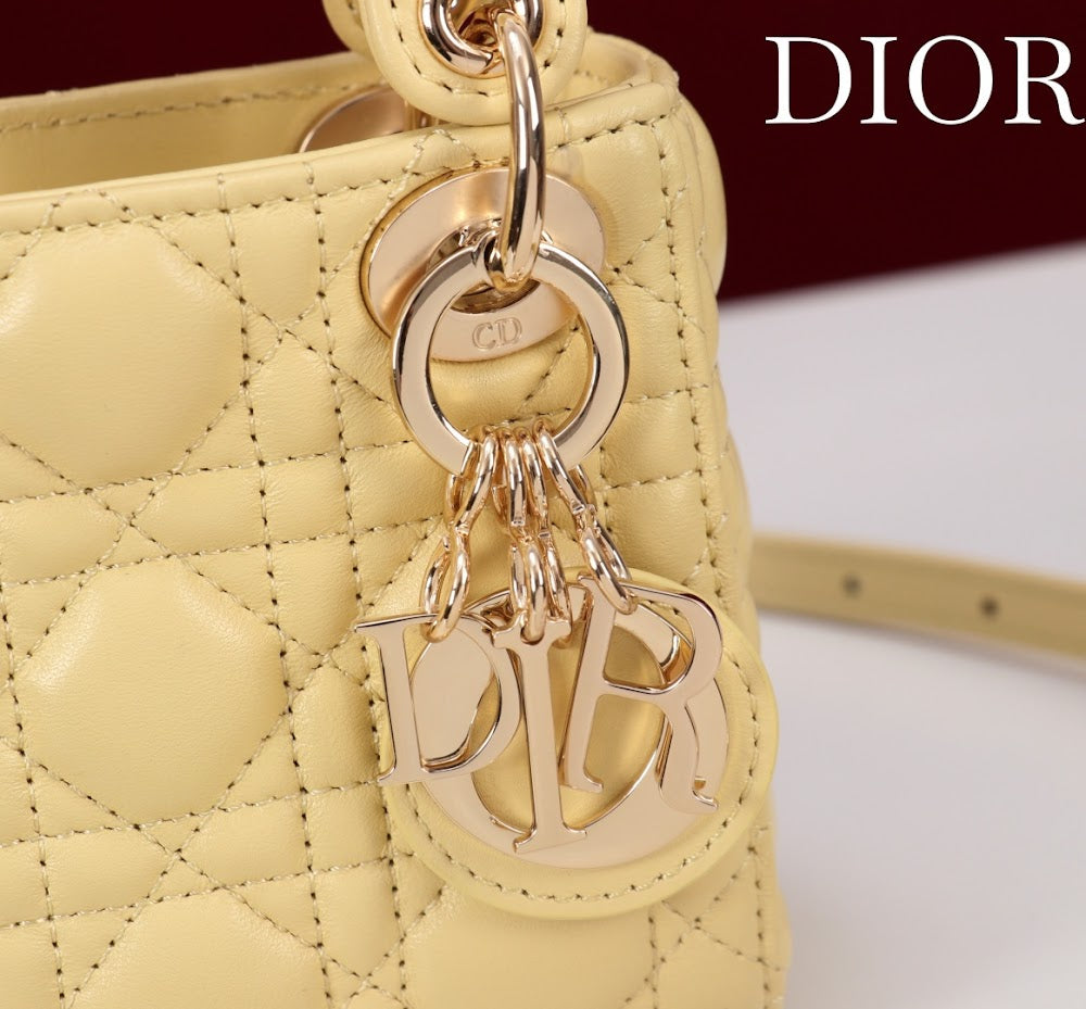 Ezyycart Bags Diorn Luxury Bag --116438
