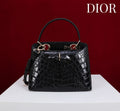 Anum Bags Diorn Luxury Bag --114796
