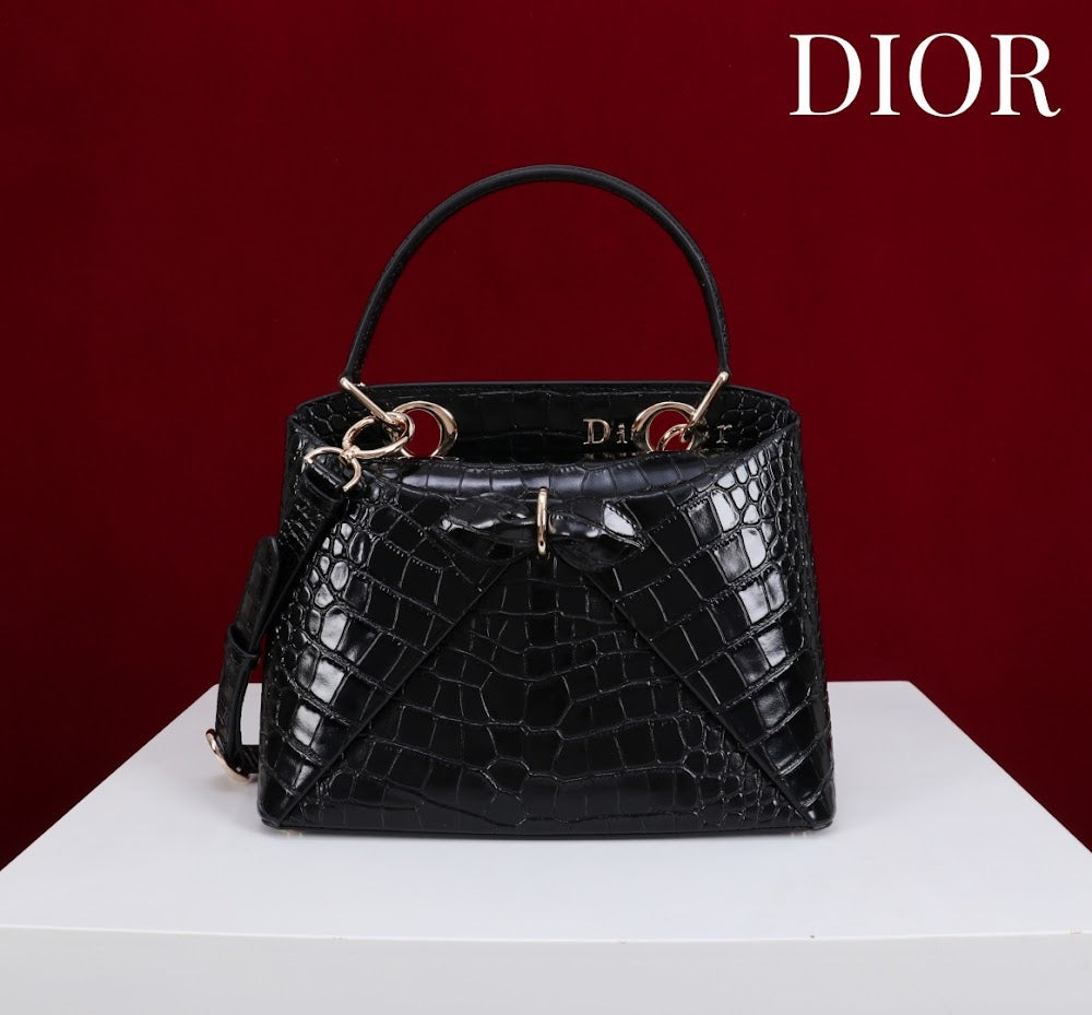 Anum Bags Diorn Luxury Bag --114796
