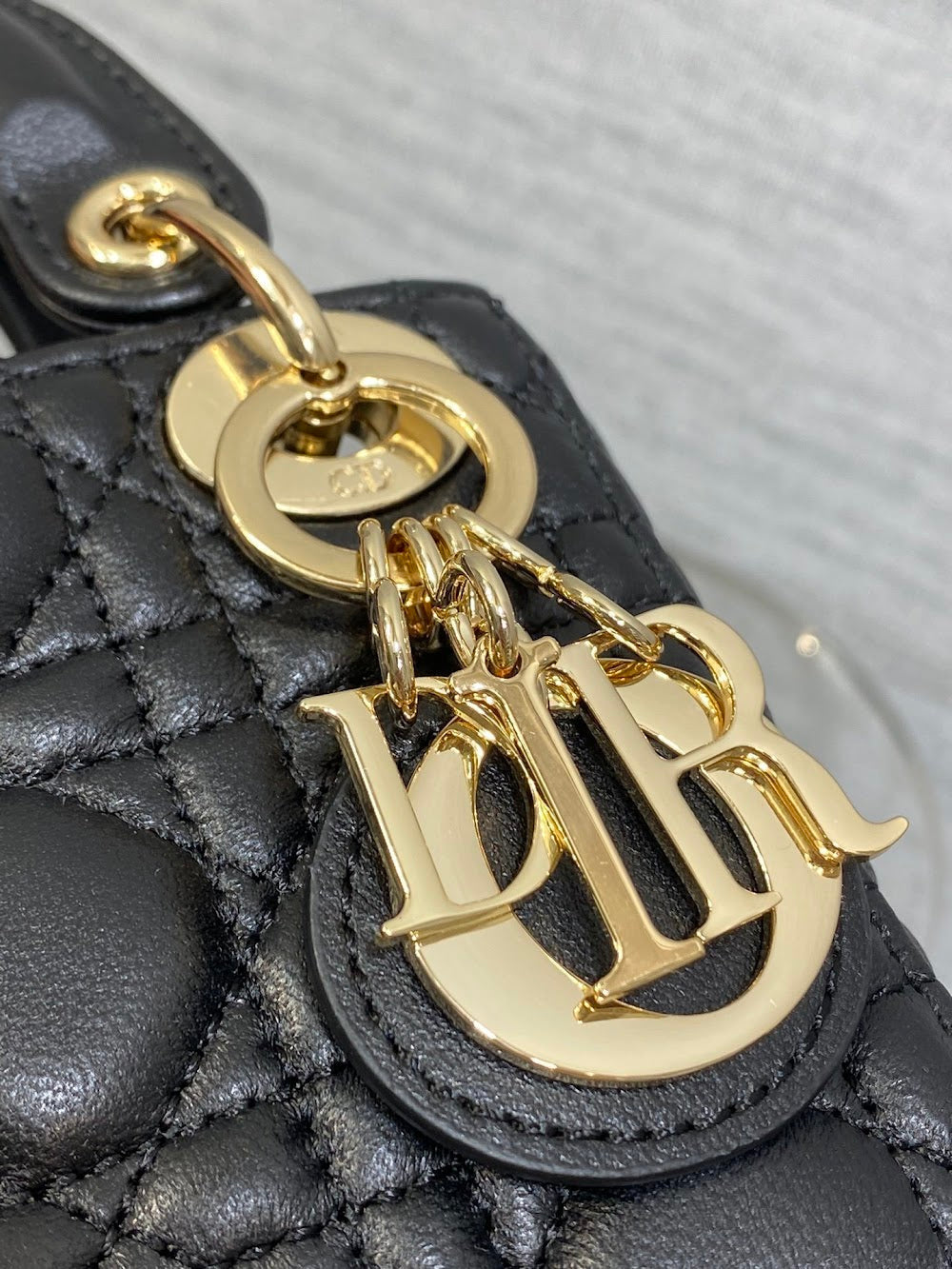 Anum Bags Diorn Luxury Bag --114978