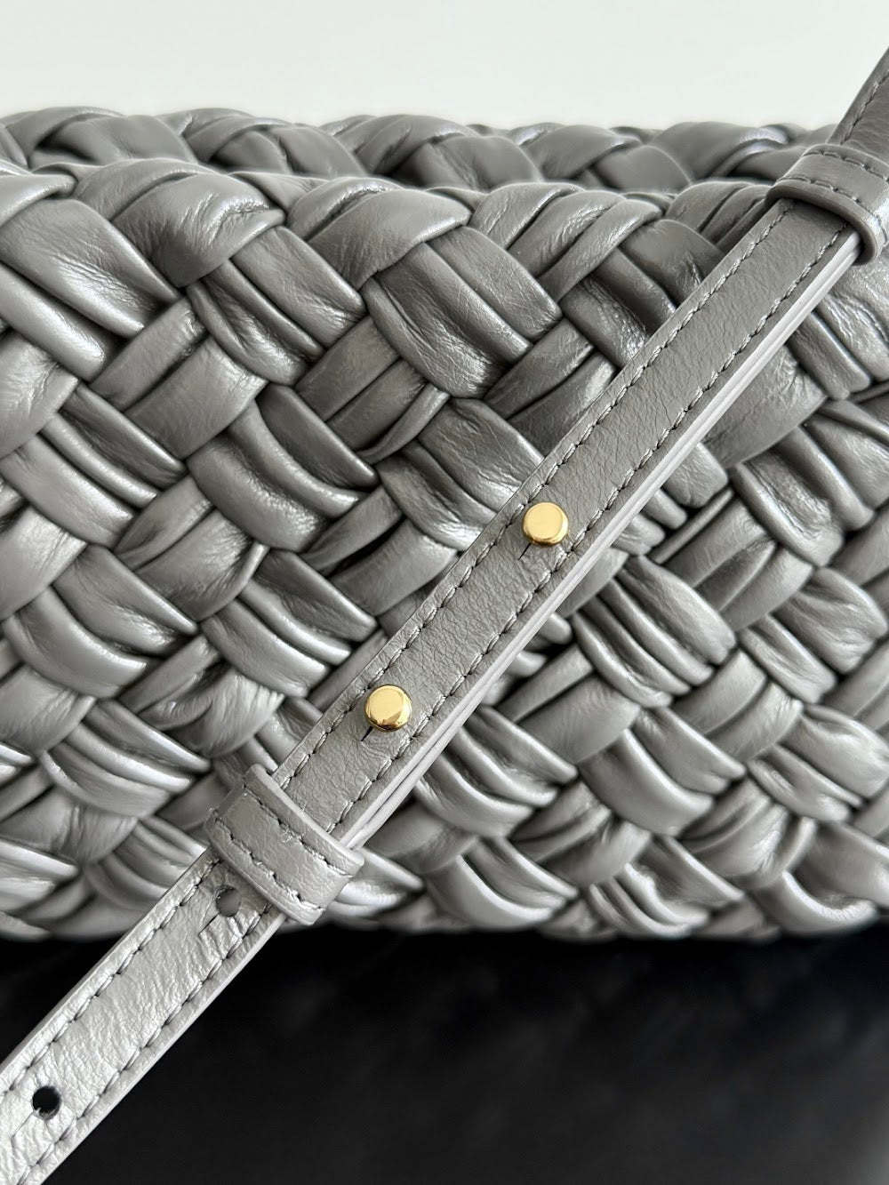 Ezyycart Bags Bottegan Luxury Bag --91282