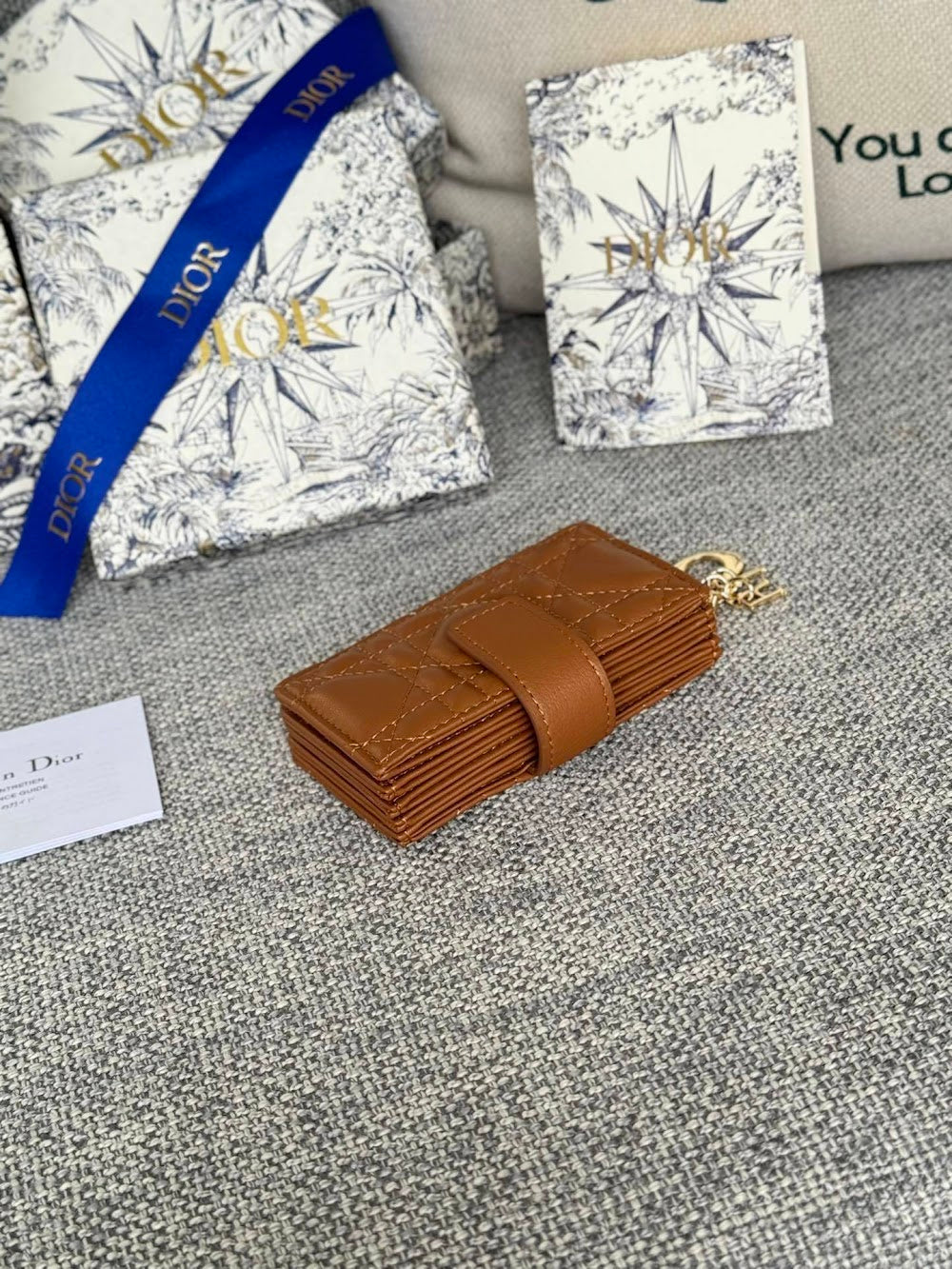 Anum Bags Diorn Luxury Bag --114602