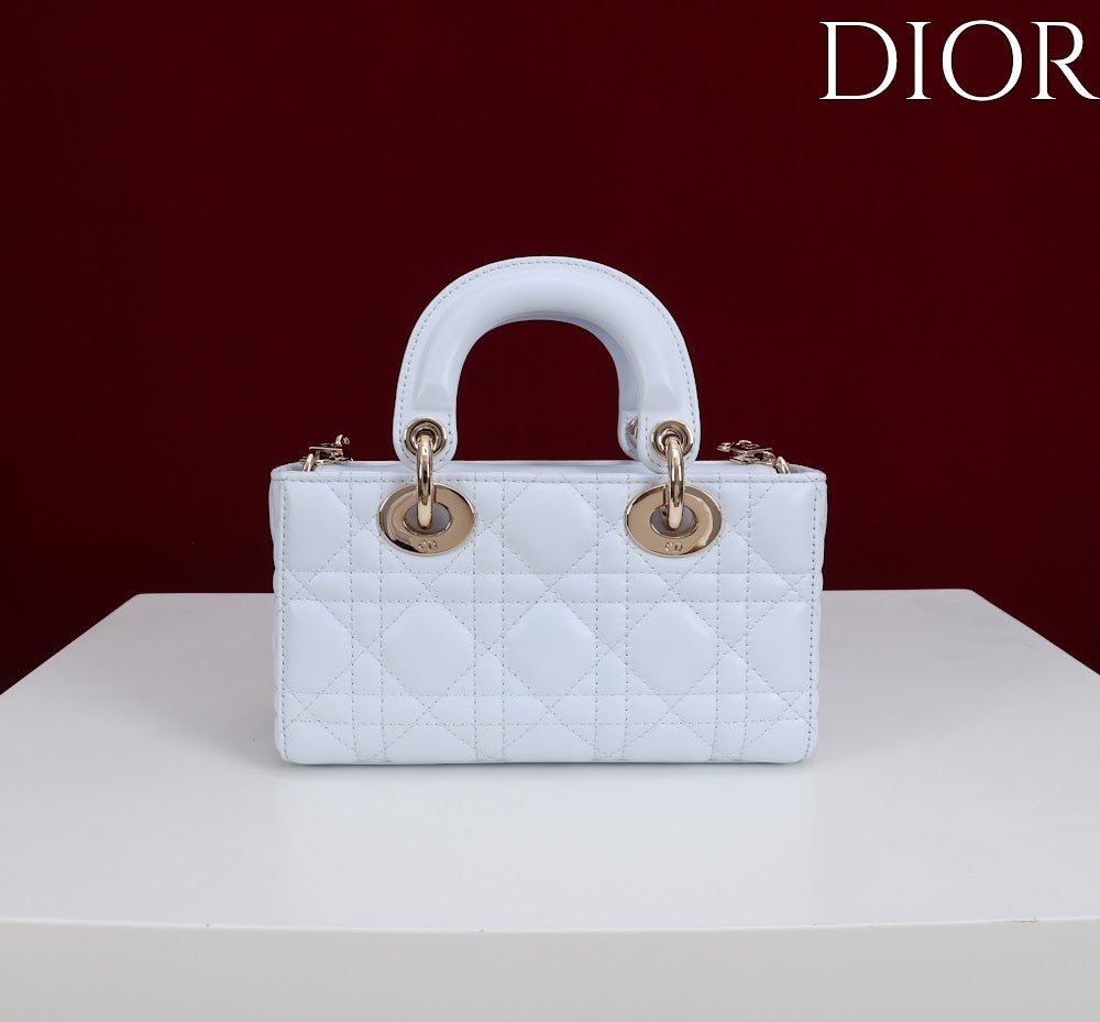 Ezyycart Bags Diorn Luxury Bag --115415