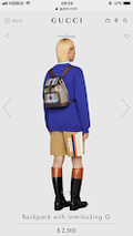 new-elite-designer-bags-nm8995