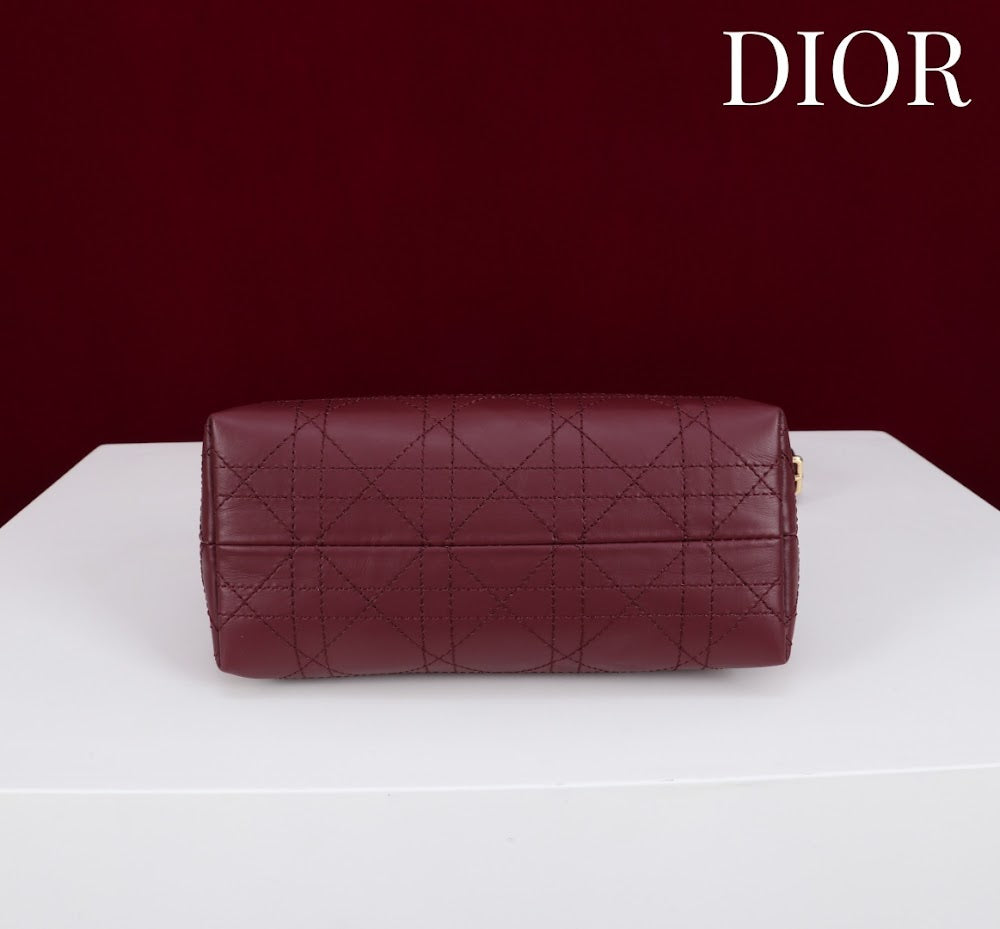 Anum Bags Diorn Luxury Bag --114561