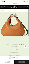 new-luxury-designer-bags-nm9003