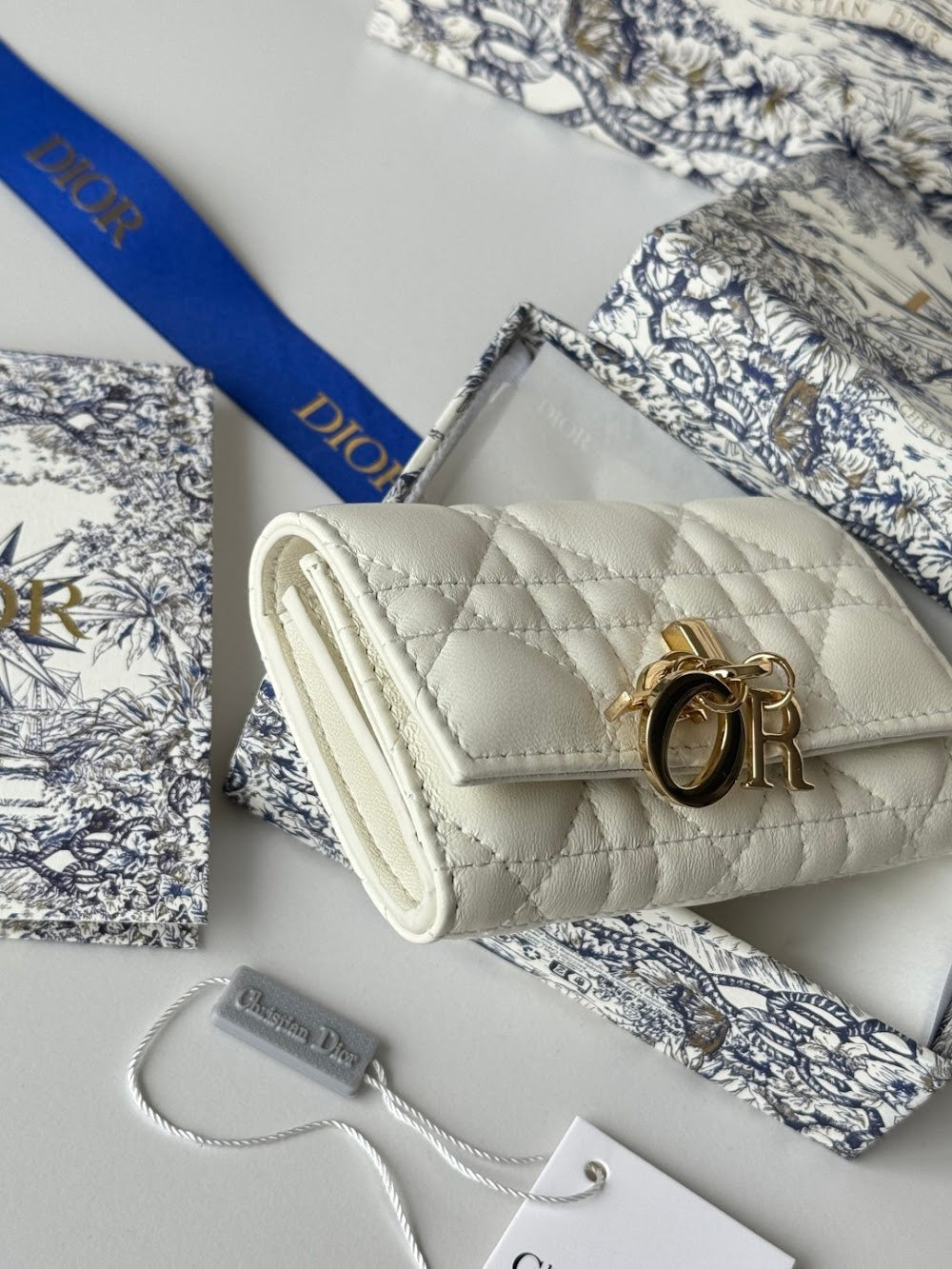 Anum Bags Diorn Luxury Bag --114483