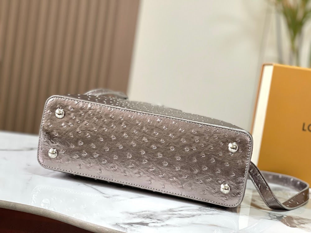 Anum Bags LVn Luxury Bag --80521