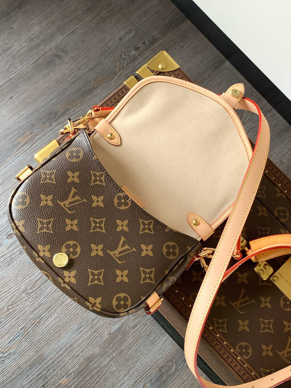Anum Bags LVn Luxury Bag --80172