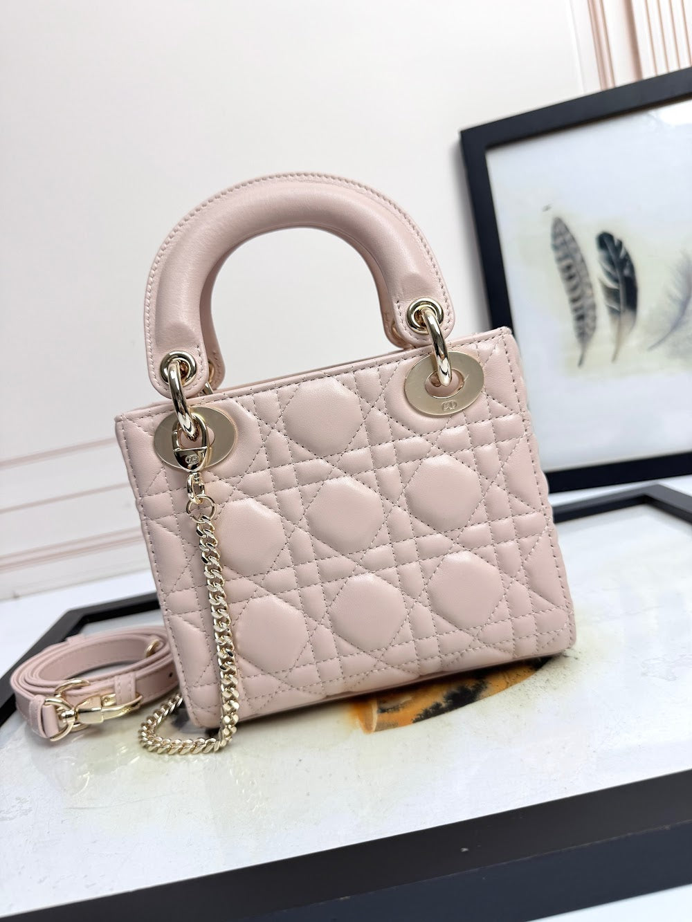 Anum Bags Diorn Luxury Bag --114953