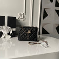 new-designer-premium-bags-nm10317