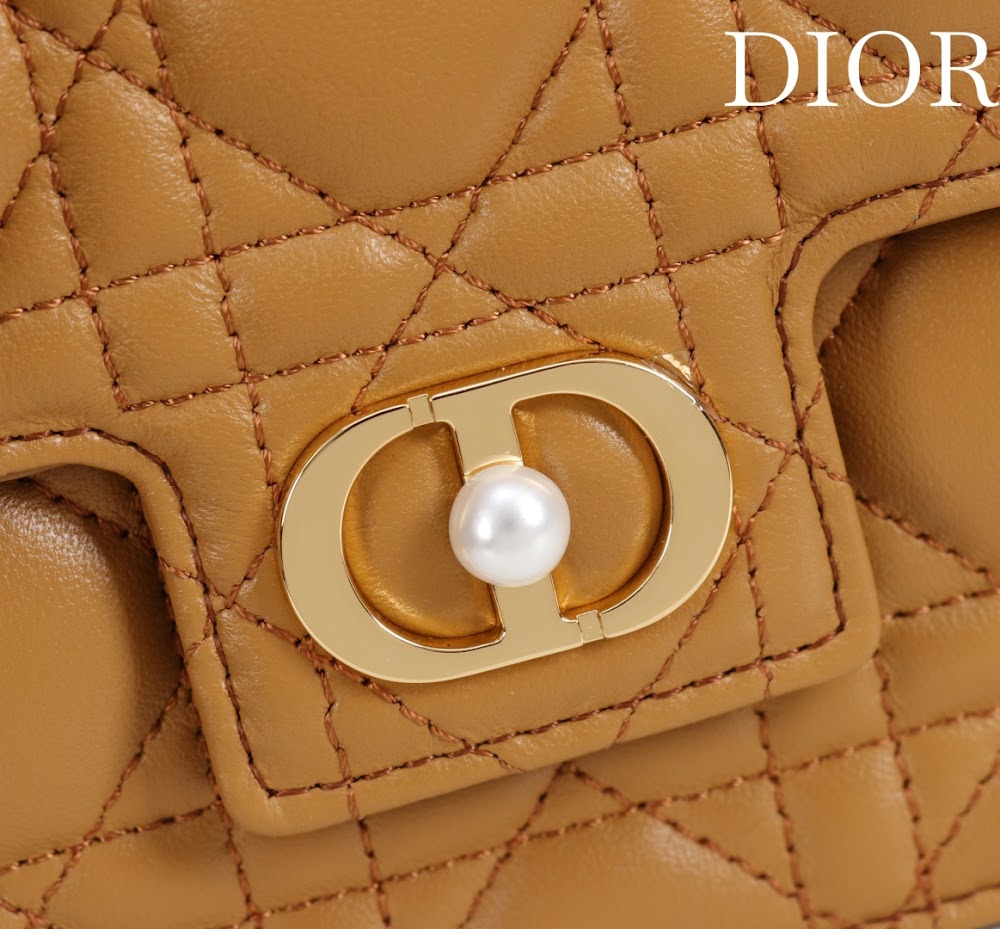Ezyycart Bags Diorn Luxury Bag --116387