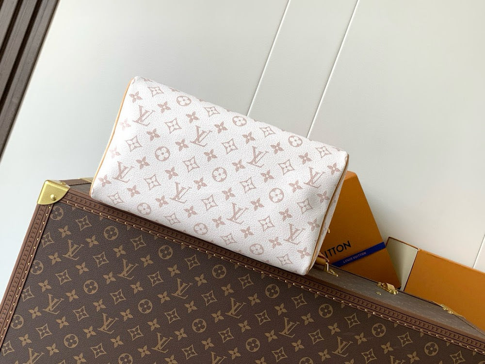Anum Bags LVn Luxury Bag --79216