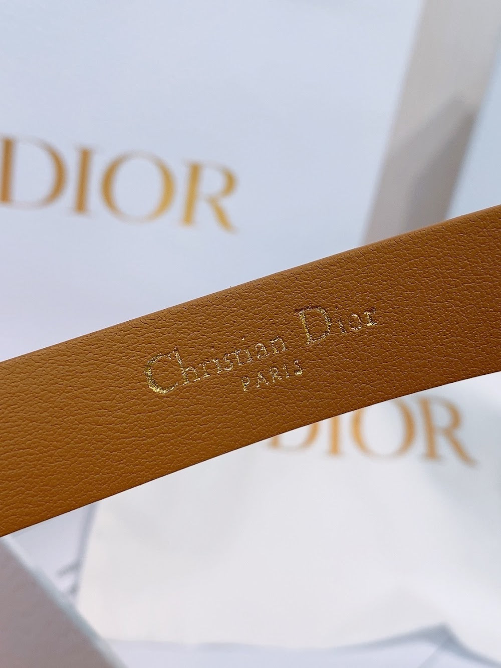 Anum Bags Diorn Luxury Belt --104964
