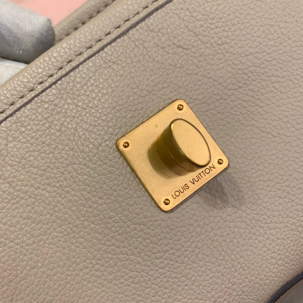Ezyycart Bags ln Luxury Bag --56203