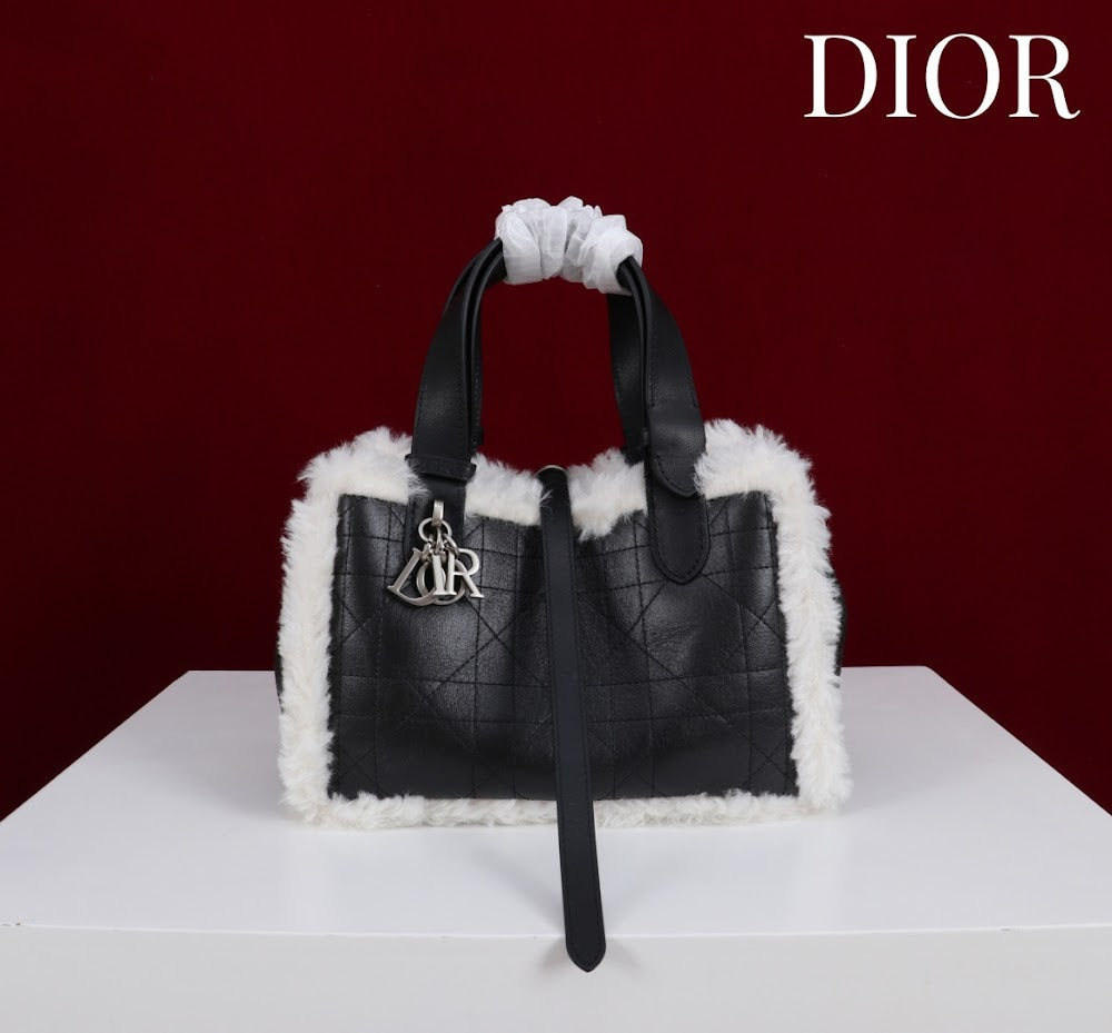 Anum Bags Diorn Luxury Bag --114888